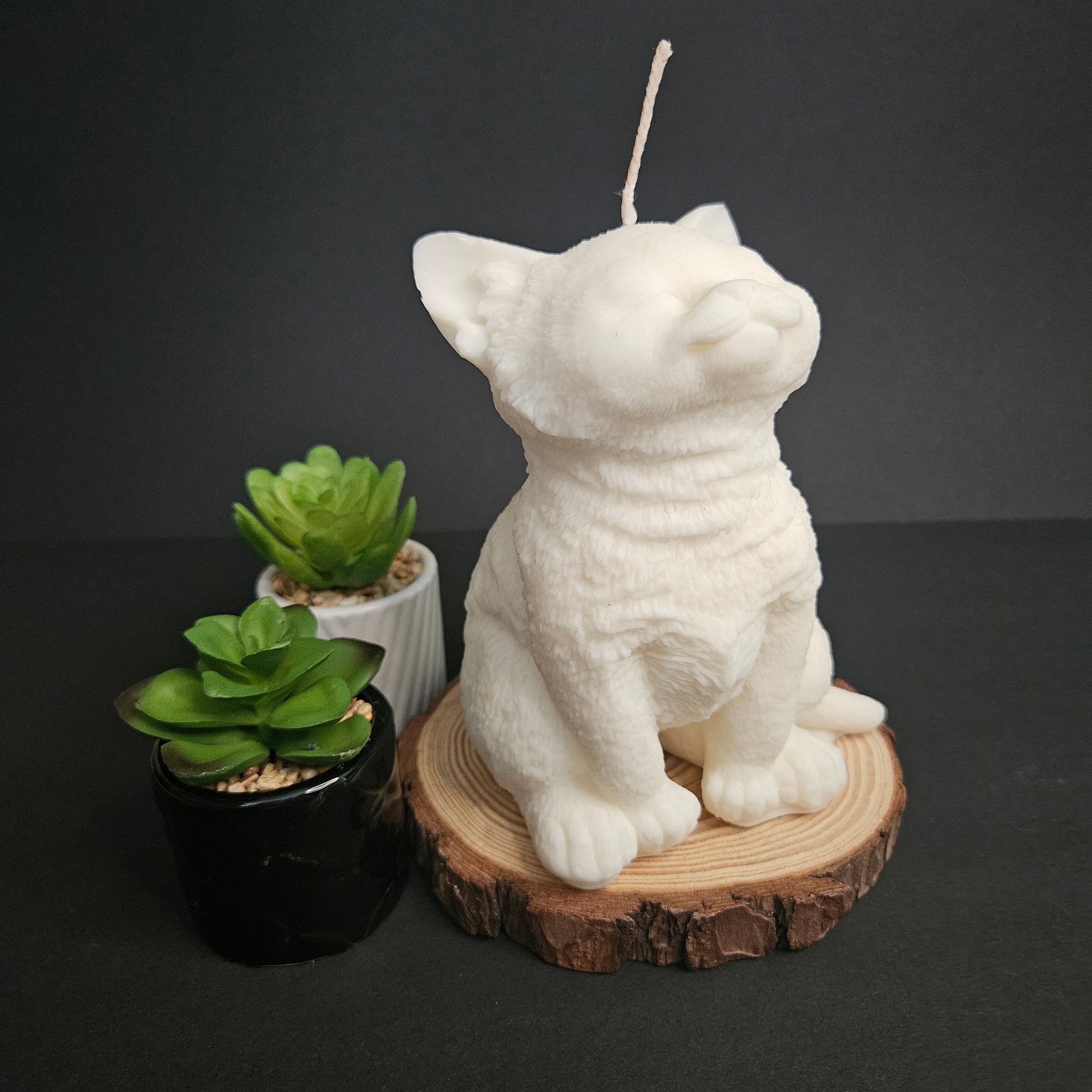 Cat candle