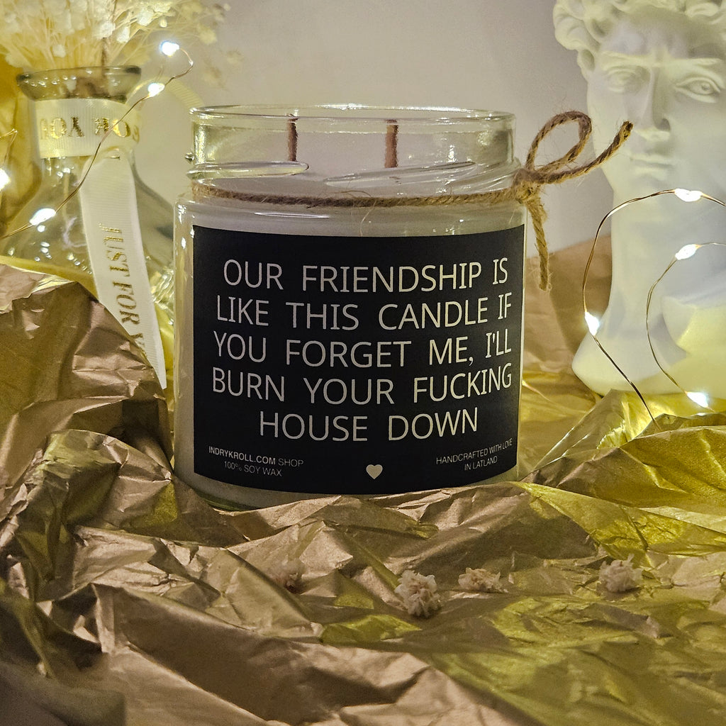 Funny Friendship Candle – “Our Friendship Is Like This Candle” | 100% Soy Wax, Eco-Friendly