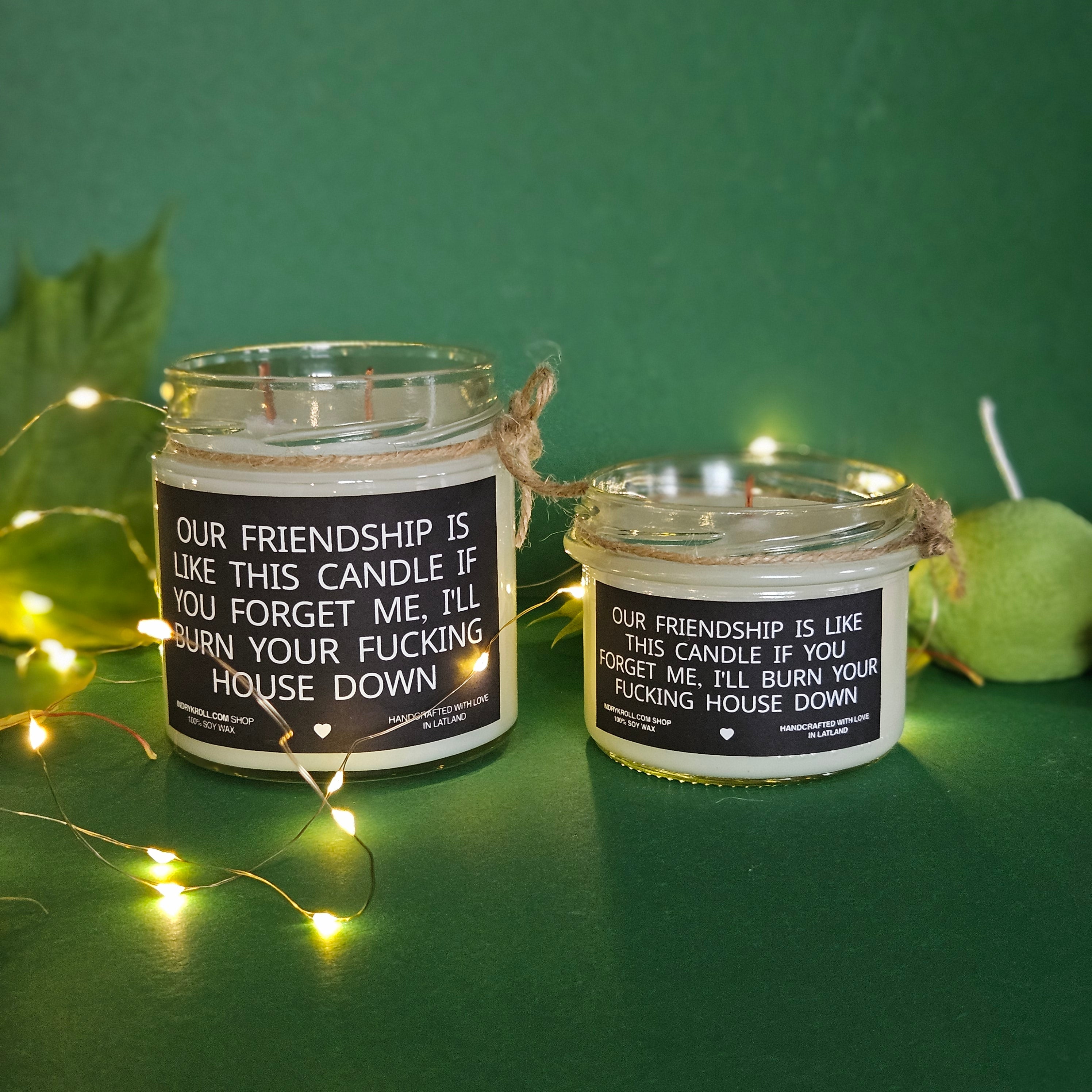 Funny Friendship Candle – “Our Friendship Is Like This Candle” | 100% Soy Wax, Eco-Friendly