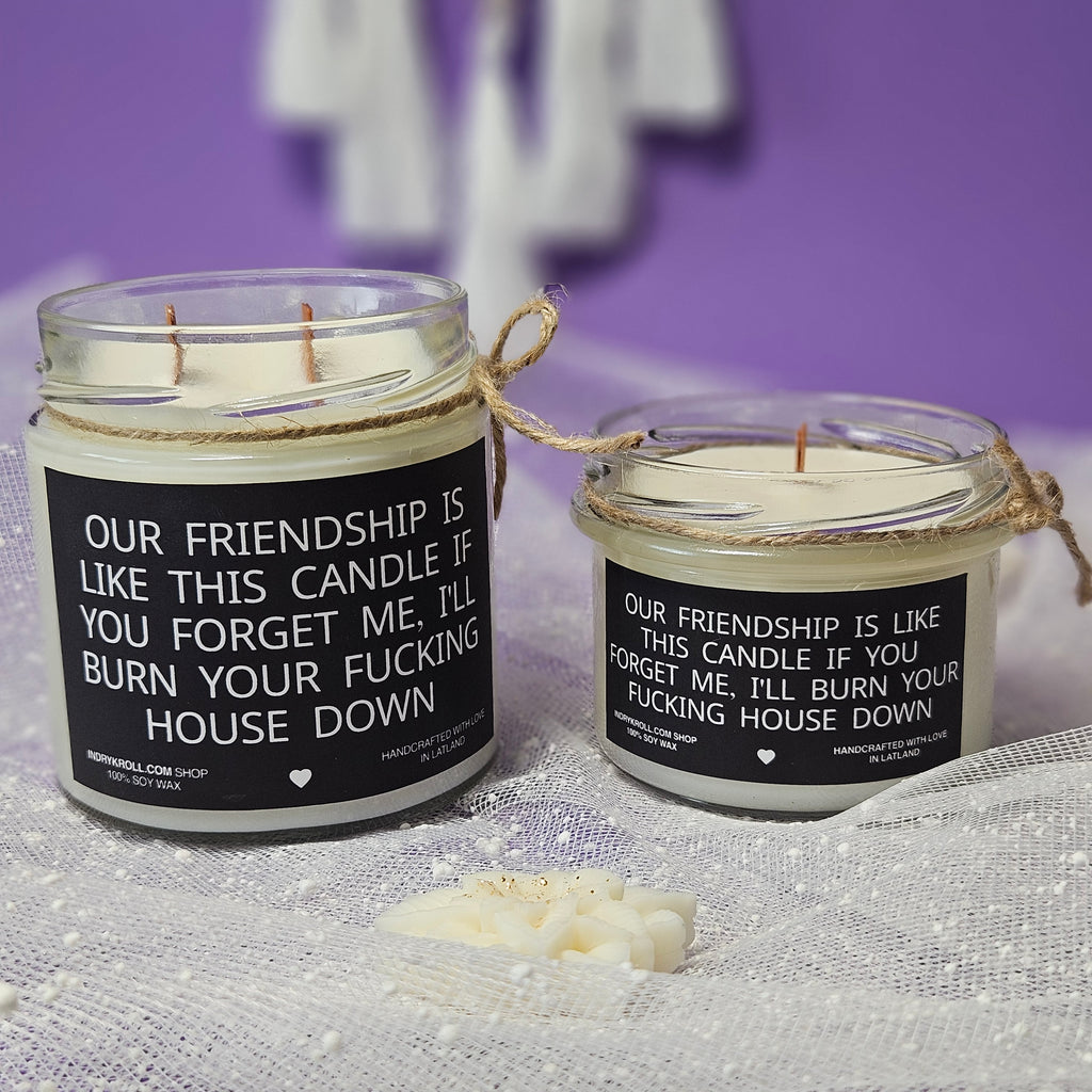 Funny Friendship Candle – “Our Friendship Is Like This Candle” | 100% Soy Wax, Eco-Friendly