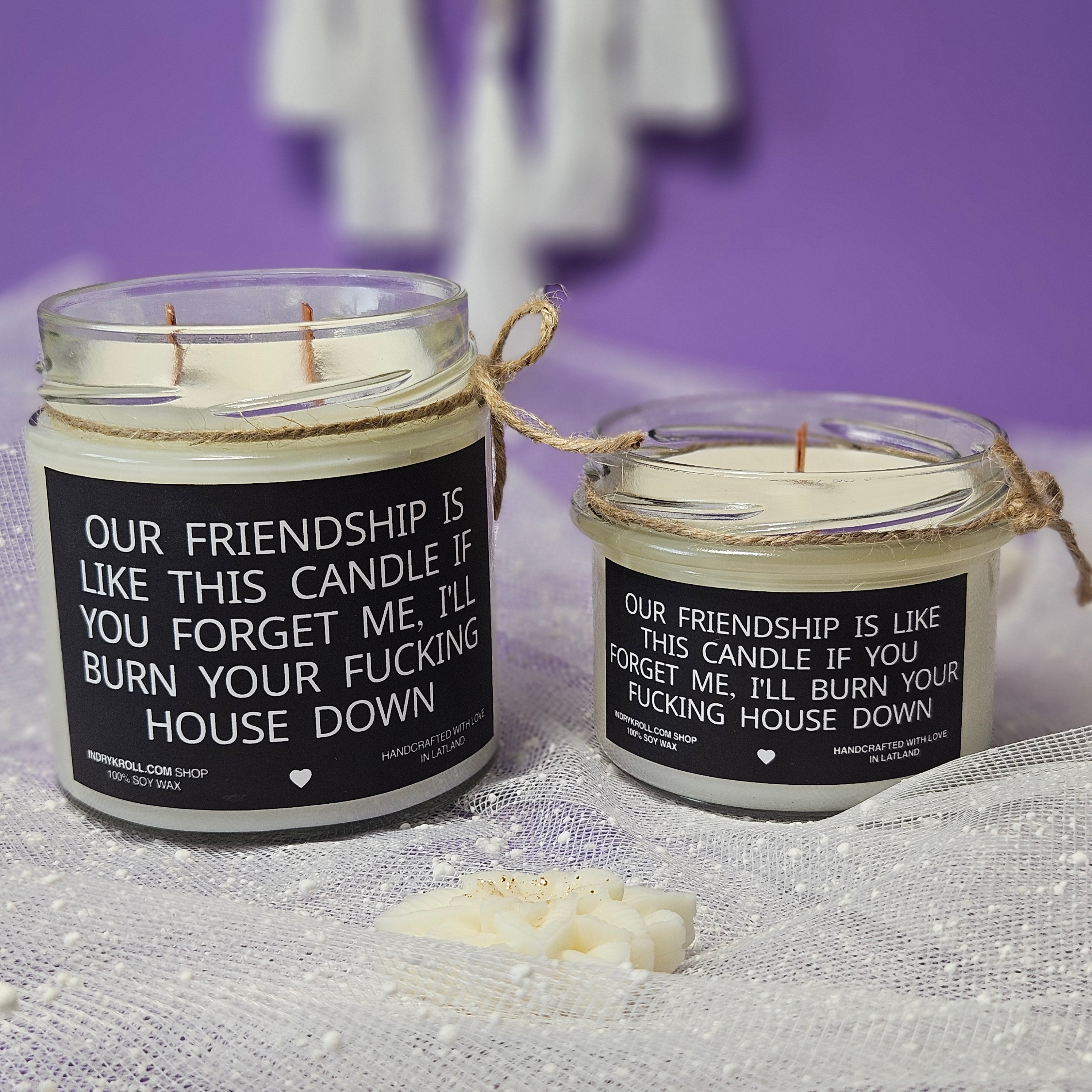 Funny Friendship Candle – “Our Friendship Is Like This Candle” | 100% Soy Wax, Eco-Friendly
