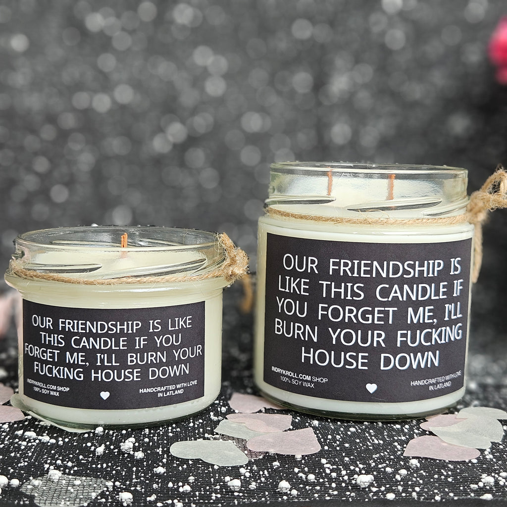 Funny Friendship Candle – “Our Friendship Is Like This Candle” | 100% Soy Wax, Eco-Friendly