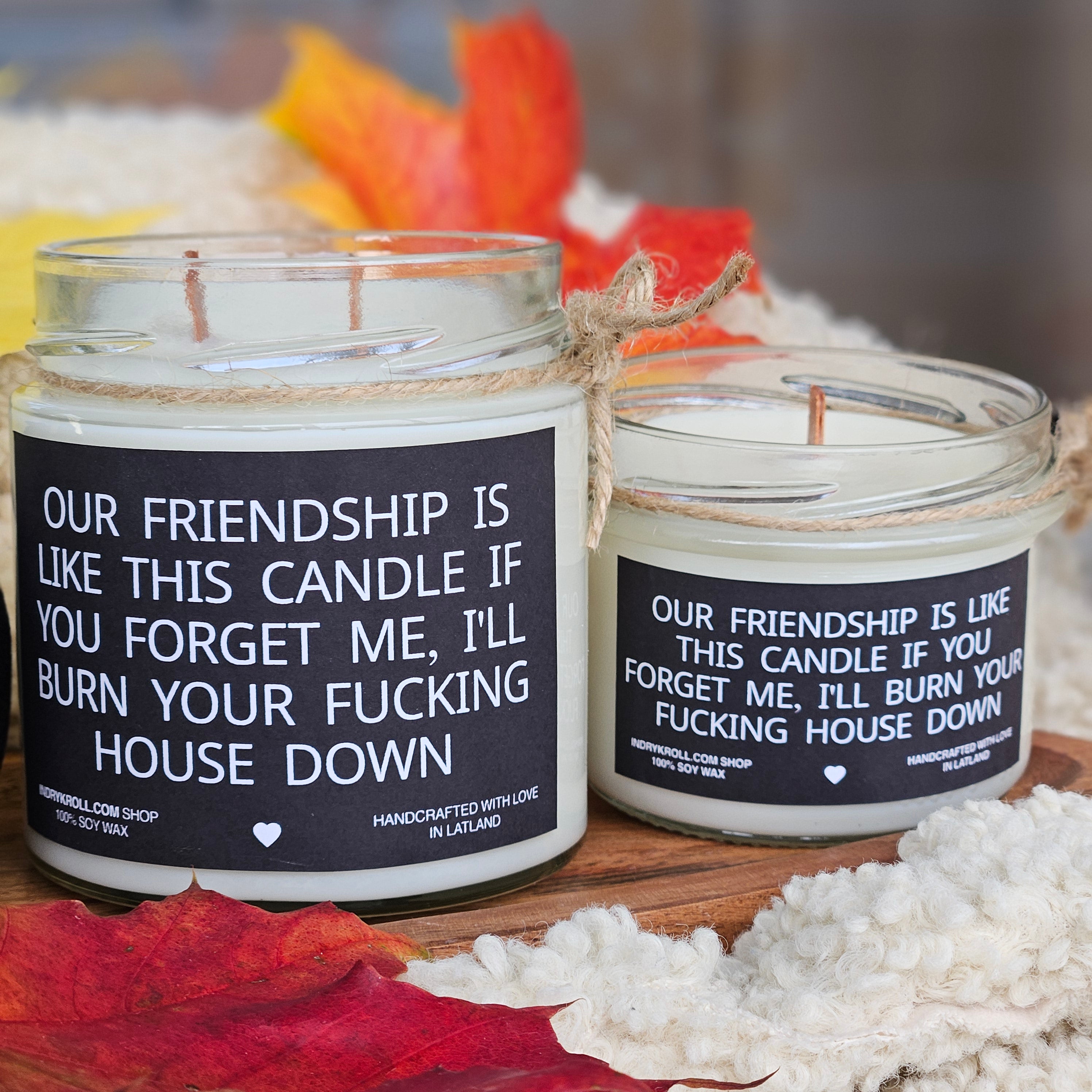 Funny Friendship Candle – “Our Friendship Is Like This Candle” | 100% Soy Wax, Eco-Friendly