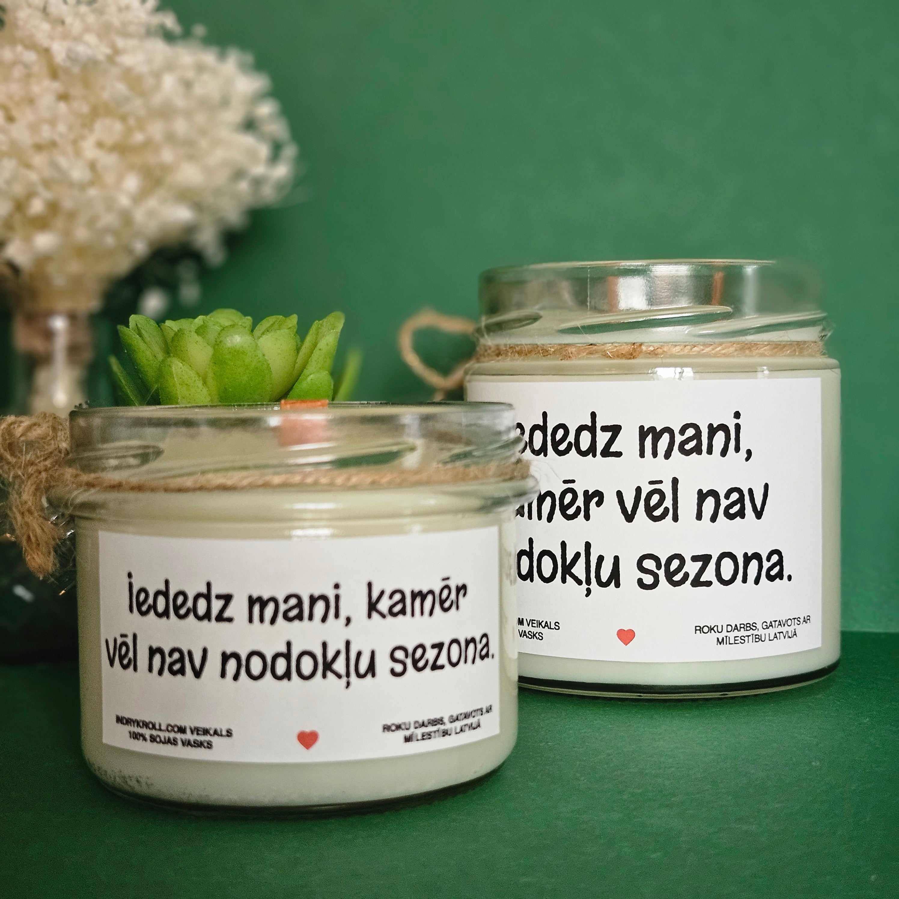 Iededz mani, kamēr vēl nav nodokļu sezona | Sojas svece ar koka dakti