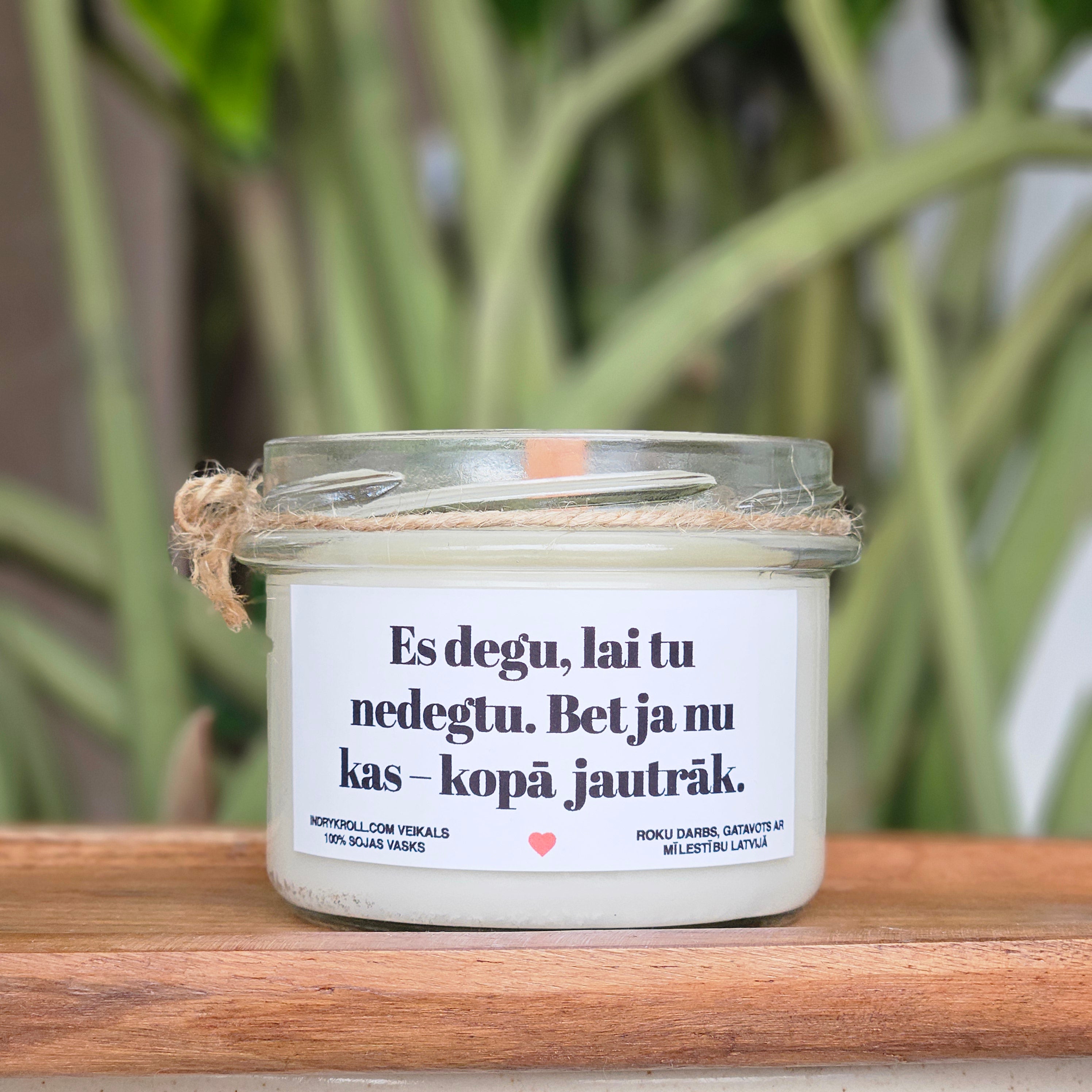 Degu kā nodokļu nauda – skaisti un bez jēgas | Sojas svece ar koka dakti