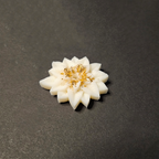 Modernās dizaina sveces – Episkā zvaigzne sojas vaska svece